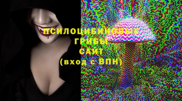СК Бронницы