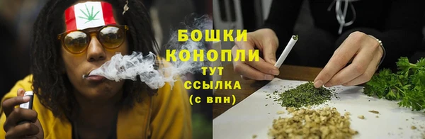 СК Бронницы