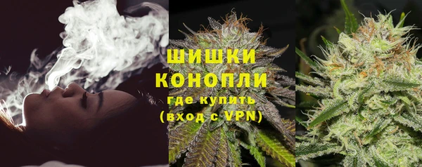 СК Бронницы