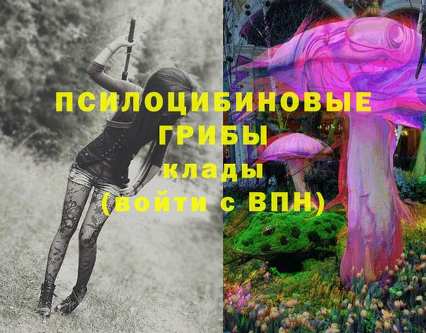 СК Бронницы