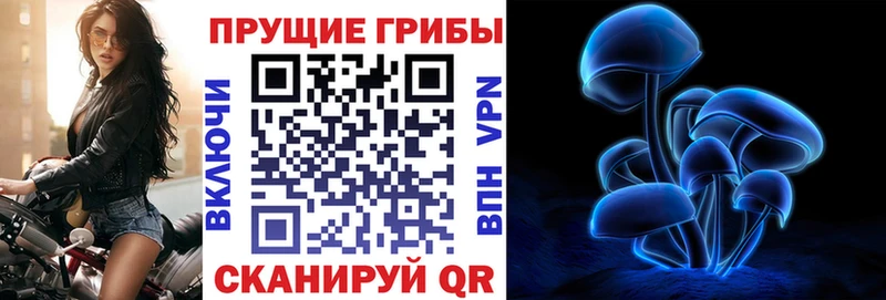 Купить закладки  Вяземский  Псилоцибиновые грибы ЛСД 